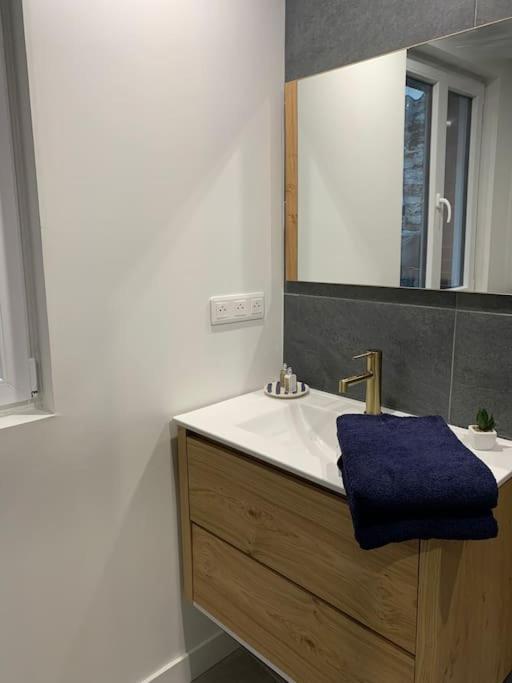 Maison Centre Ville - 2 Chambres - Sauna En Option Marchiennes-Ville 외부 사진